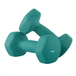 SONGMICSHOME Ensemble de 2 haltères hexagonaux en néoprène, 2 x 3 kg, avec barres d'haltères, Entraînement à domicile, Turquoise