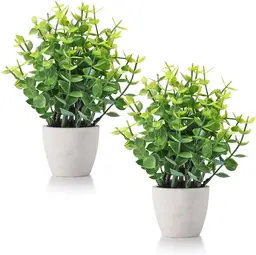 2Pack Mini Potted-2pcs