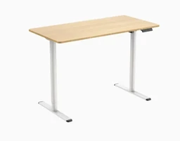 Ochama X Ergonomic Standing Seat Stand Desk Lifting Table Electric Height Adjustable Desk 120 x 60 cm - Super Deals - Oak Top
