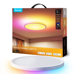 Govee 12inch RGBWW + RGBIC Round Smart Ceiling Light