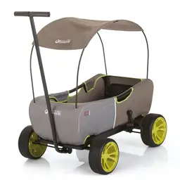 Hauck Wagon for 2 Kids - Forest