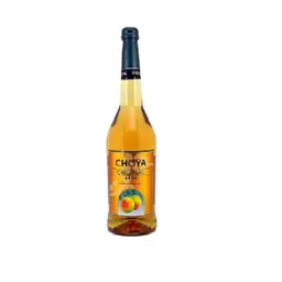 CHOYA ORIGINAL PLUM WINE 10% 750ML CHOYA 梅子酒 750毫升