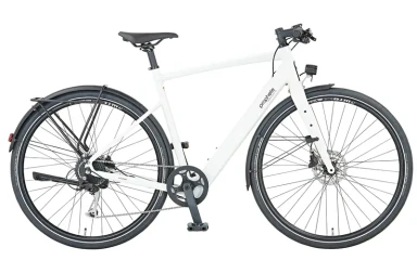 Prophete E-Bike 28 Zoll Bis zu 110 km Reichweite Heckmotor LCD-Display Urbanicer 2.0 53 cm Rahmenhöhe