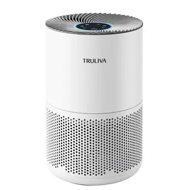 TRULIVA Air Purifier, CADR 260m³/h, 3-IN-1 H13 HEPA Filter, 24H Timer, Air Cleaner, 99.97% Removes Allergies, PM2.5, Smoke, Pollen, Mites, Pollutants