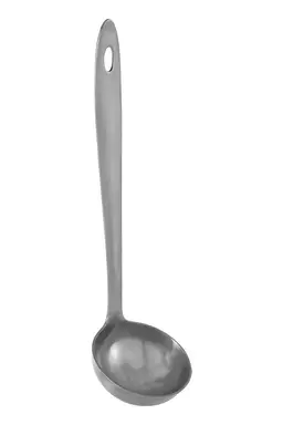 Maison by Premier Brushed Finish Ladle