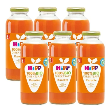 HiPP Direktsaft Mehrfrucht mit Karotte 6 x 0,33 l