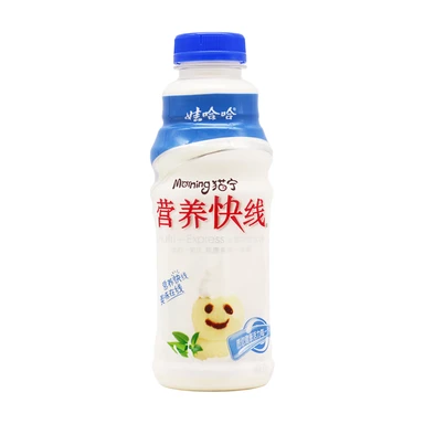 Wahaha Nutrition Express Vanilla Ice Cream Flavour 500ml 