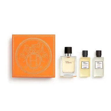 Hermès Terre d’Hermès Coffret Eau de Toilette 50 ml + Gel Douche 40 ml + Après-Rasage 40 ml
