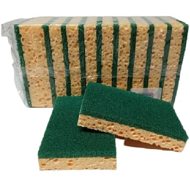 NICOLS  EPONGES GRATTANTES MULTI USAGES GAMME ECO X10