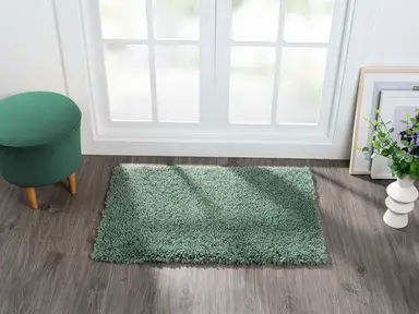 My Flair Teppich "My Shaggy" rechteckig hellgrün 90 x 60 cm