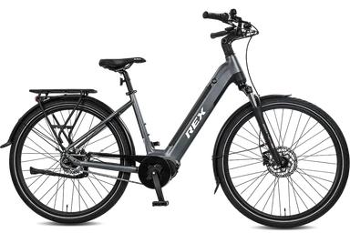 Rex Commuter+  E-Bike Wave 48 grey