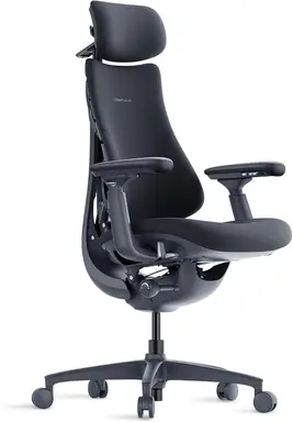 LiberNovo Omni Allzweck-Dynamische Ergonomische Stuhl, Mitternachtsschwarz, 48 cm, 1 Stück [Bestellen Sie jetzt, erhalten Sie bei Bestellungen zwischen dem 28. Mai und 10. Juni einen kostenlosen Fußstützfußstützer im Wert von 199 €]