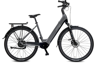 Rabeneick Comfort E-Bike Wave 51 grey