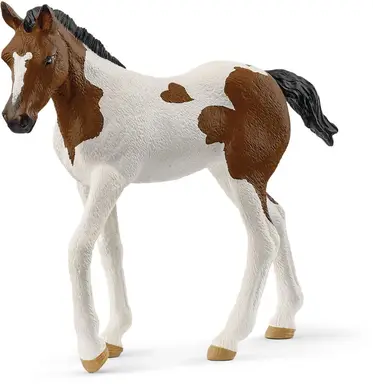 Schleich Paardenclub speelfiguur - multikleur, no. 14899