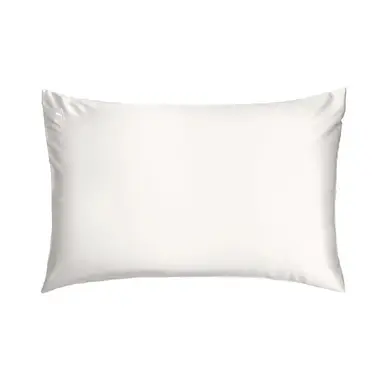 Silk Addict 100% Mulberry Silk Pillowcase Ivory