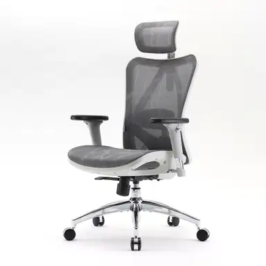 Sihoo M57 ergonomischer Bürostuhl, mesh-Schreibtischstuhl mit verstellbarer Lordosenstütze, 3D-Armlehnen, atmungsaktiver Computerstuhl mit hoher Rückenlehne (Hellgrau)