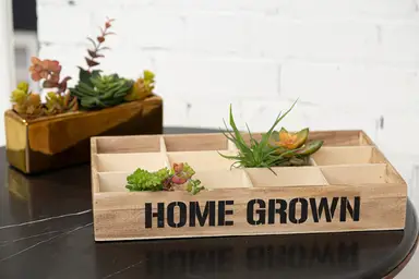 Maison by Premier 12 Compartments Herbs & Seed Crate