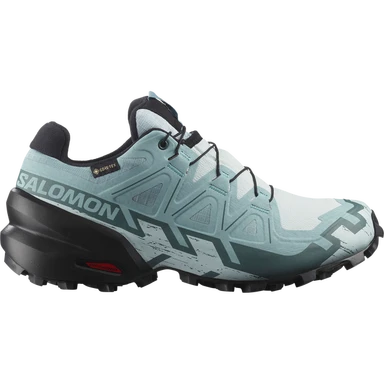 Salomon Speedcross 6 GTX W L47880100_41 1/3