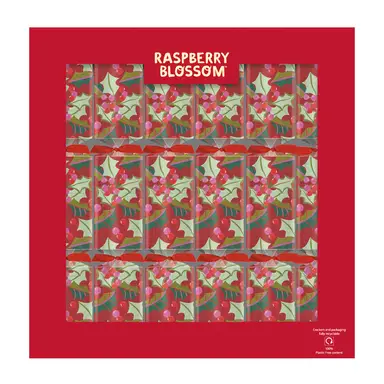 Raspberry Blossom Luxury Crackers Set of 6 12"