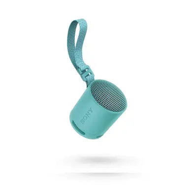 Sony SRS-XB100 Bluetooth Portable Speaker (Blue)