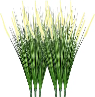 32 Zoll gelber Fuchsschwanz-Reed-Zwiebelgras - 6 Stück