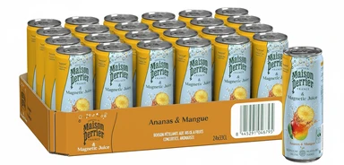 Maison Perrier & Magnetic Juice Boisson pétillante saveur ananas et mangue - 24 x 33 cl