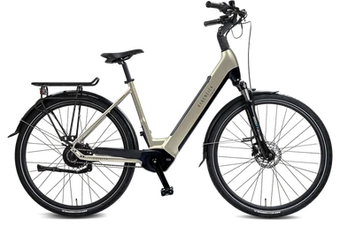 Rabeneick Comfort E-Bike Wave 51 champagne gold