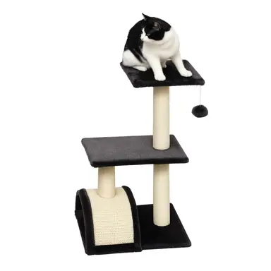 PawHut Arbre à chat arbre à grimper griffoir pour chat hauteur 72 cm balle suspendue gris foncé