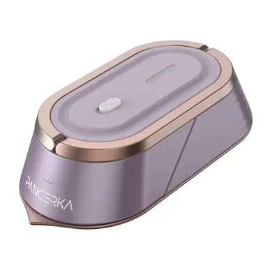 PANCERKA Mini Travel Iron BD-Z401001 Gold Purple