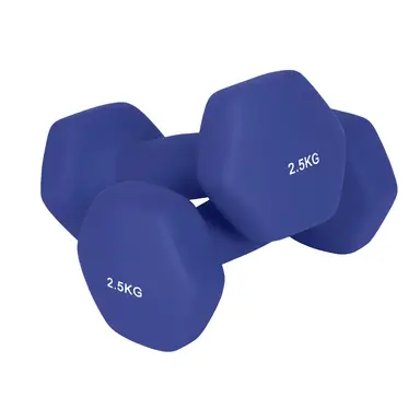 SONGMICSHOME  Hanteln, 2er Set, 2 x 2,5 kg, Hantelset, Kurzhanteln, Hexagon, Neopren-Beschichtung, blau 