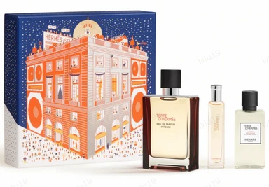 Hermes Terre d'Hermes Geschenkset Eau de Parfum Intense 100ml+15ml + After Shave Balm 40 ml