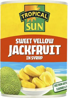 Tropical Sun Sweet Yellow Jackfruit In Syrup 565g