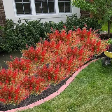 Yuejia 4Pcs 14.96in/38cmArtificial Outdoor Plants Fake Cedar Plants Plastic Faux Pinetree Stems Greenery Shrubs Colorfast Indoor Outdoor Christmas Home Decor for Windowbox Garden Porch Path