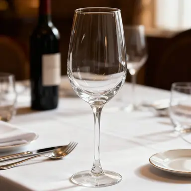 Ju7cer  Wine glass Suitable for Celebrations, Weddings & Parties 350ml 8pcs