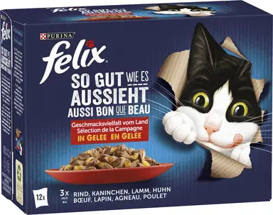 Felix so gut wie es aussieht Landgeschmack 12 x 85 g