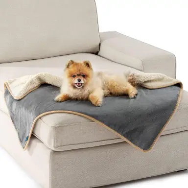 Lesure Wasserdichte Hundedecke, Outdoor Waschbare Hundedecke, Sofaschutz, Sherpa-Fleece, Katzen-Decke, Flauschig und Weich, für Kleine Hunde, 80 x 60 cm, Grau
