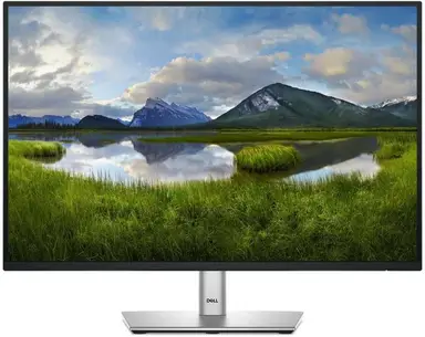 DELL 24 Monitor - P2425, 61cm (24.0")