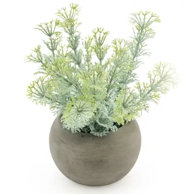 Candlelight Artificial Dwarf Ambulia in Concrete Effect Pot 16cm