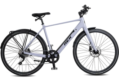 Rex Carbon E-Bike Diamant 52 purple
