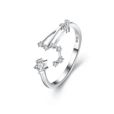 Ever Faith Cubic Zirconia Adjustable Leo Zodiac Ring Astrology Jewelry