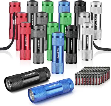 EverBrite 18-Pack LED Mini Pocket Torch, Small Keyring Torches Flashlight, Ideal for Kids Camping Hiking Traveling Cycling Outdoors Party, Batteries Included