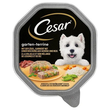 Cesar Schale Gartenterrine mit Geflügel, garniert mit einer Mischung aus Reis und Gemüse 150 g