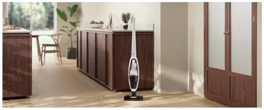 Electrolux ES52CB18SH Well Q7 draadloze steelstofzuiger