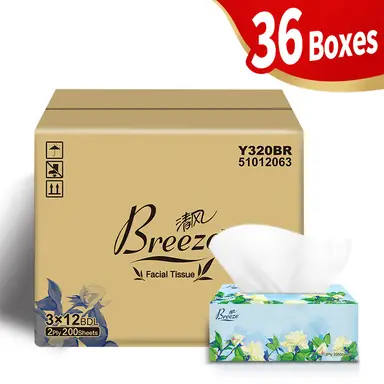 BREEZE Blossom Box Facial L Size 2 ply 200 sheets x 36 boxes(3x12), total 7200 sheets, soft & skin-friendly, large size, floral design, for living room, dining table, bedroom, office, family bulk buy
