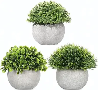 Colospec Lot de 3 mini plantes artificielles