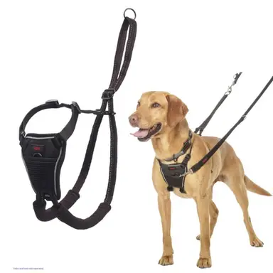 CoA Halti No Pull Harness Medium