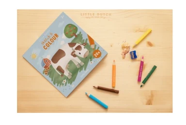 Little Dutch Little Farm Kleurboek Disp.