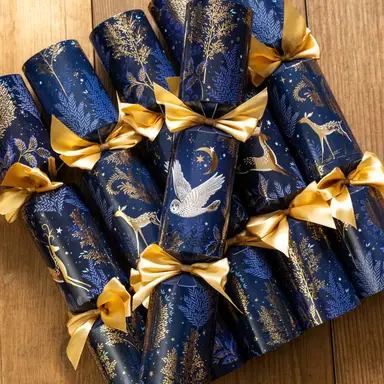Sara Miller Set of 6 Magical Nightfall 13" Premium Crackers