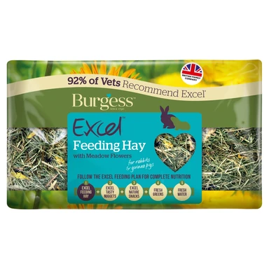 Burgess Excel Feeding Hay 500g