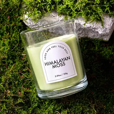 Zooly Transparent Colored Scented Candle - Himalayan Moss (Light Green), 140G, 1PC